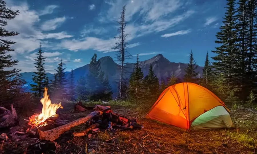 Adventure activities at Veda Adventures Park Noida - best destination for school trips, corporate team building activities, family outings, weekend parties, and celebrations near Delhi