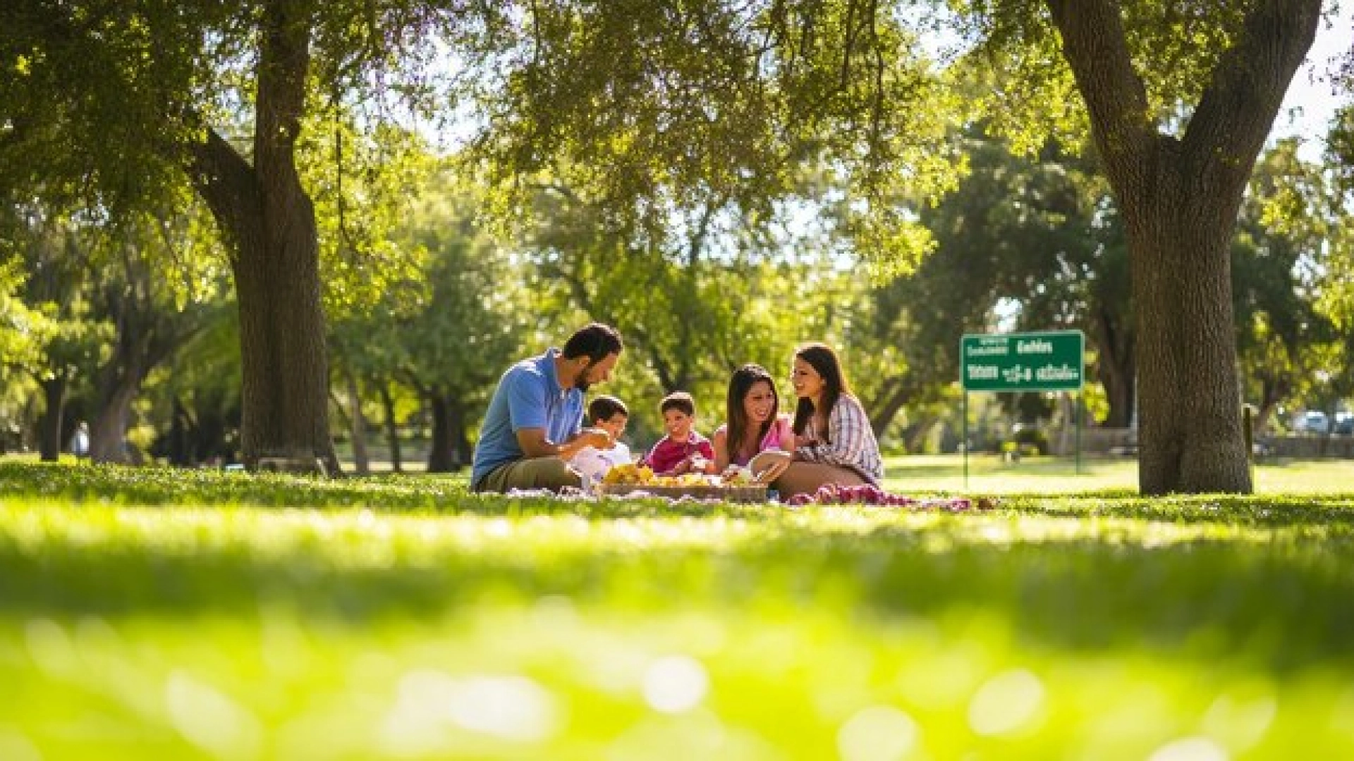 All-In-One Thrills: Can’t-Miss Adventure Park Packages for Corporate Teams in Delhi NCR